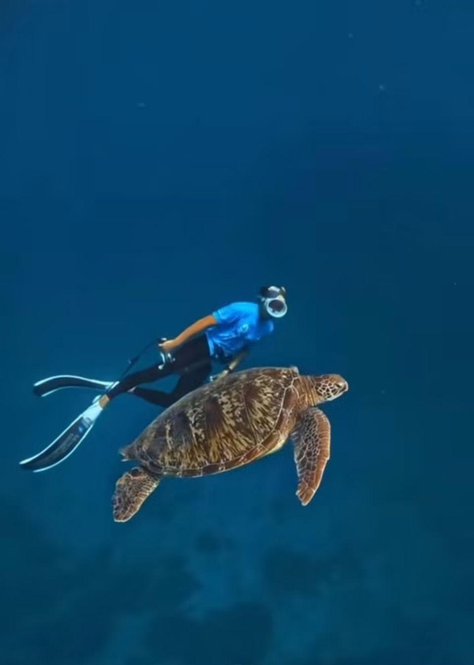 Isla Freediving