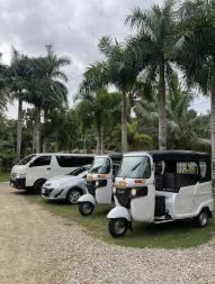 Private Tours